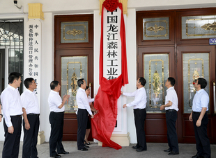 2018年6月30日，中國龍江森林工業(yè)集團有限公司掛牌儀式。