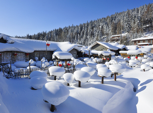 龍江森工集團，中國雪鄉(xiāng)景區(qū)。