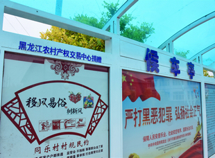 2020年，交易集團為泰來縣同樂村修建候車亭，助力扶貧攻堅，為村民生活提供便利。