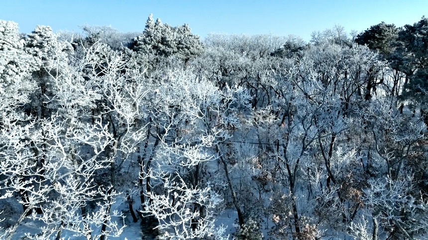 黑龍江興凱湖現霧凇奇觀