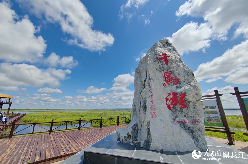 黑龍江千鳥湖：優質生態成就“鳥類天堂”