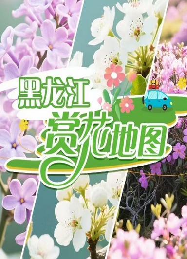 黑龍江：賞花正當(dāng)時(shí)