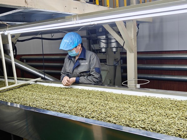 工人進行分揀工作。圖片由中國建設銀行黑龍江省分行提供