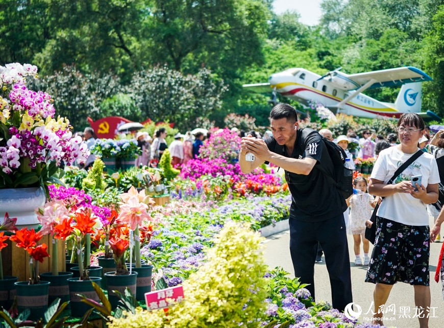 夏有涼風(fēng)在冰城丨漫步花海 市民“聞香”來