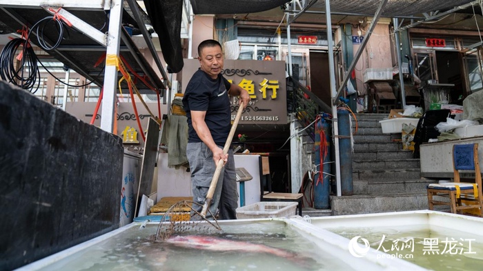 魚(yú)市上忙碌的商販。人民網(wǎng) 徐成龍攝