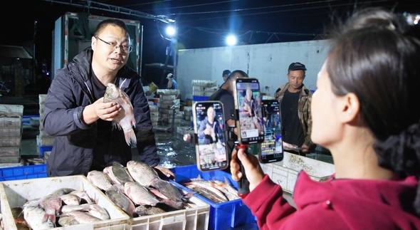 興凱湖冷水魚產業迎來豐收季